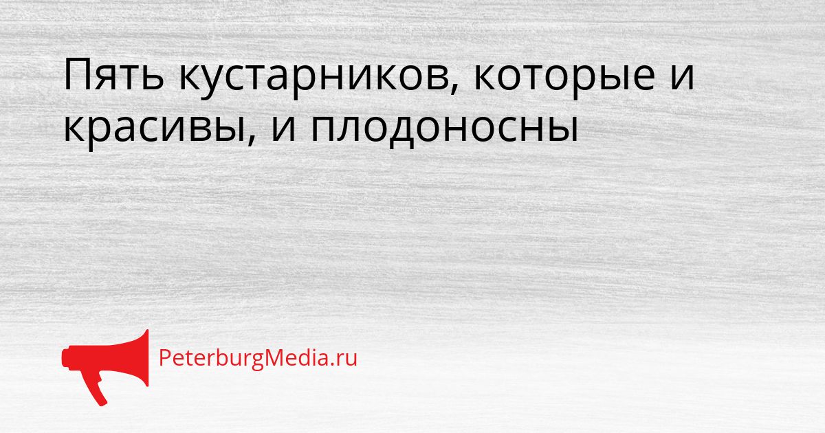 Пять кустарников, которые и красивы, и плодоносны Сгенерировано