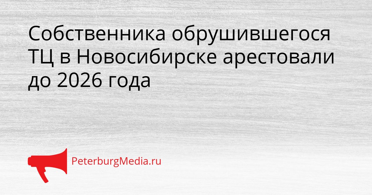 Собственника обрушившегося ТЦ в Новосибирске арестовали до 2026 года Сгенерировано