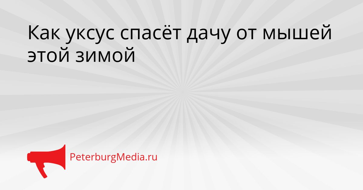 Как уксус спасёт дачу от мышей этой зимой Сгенерировано