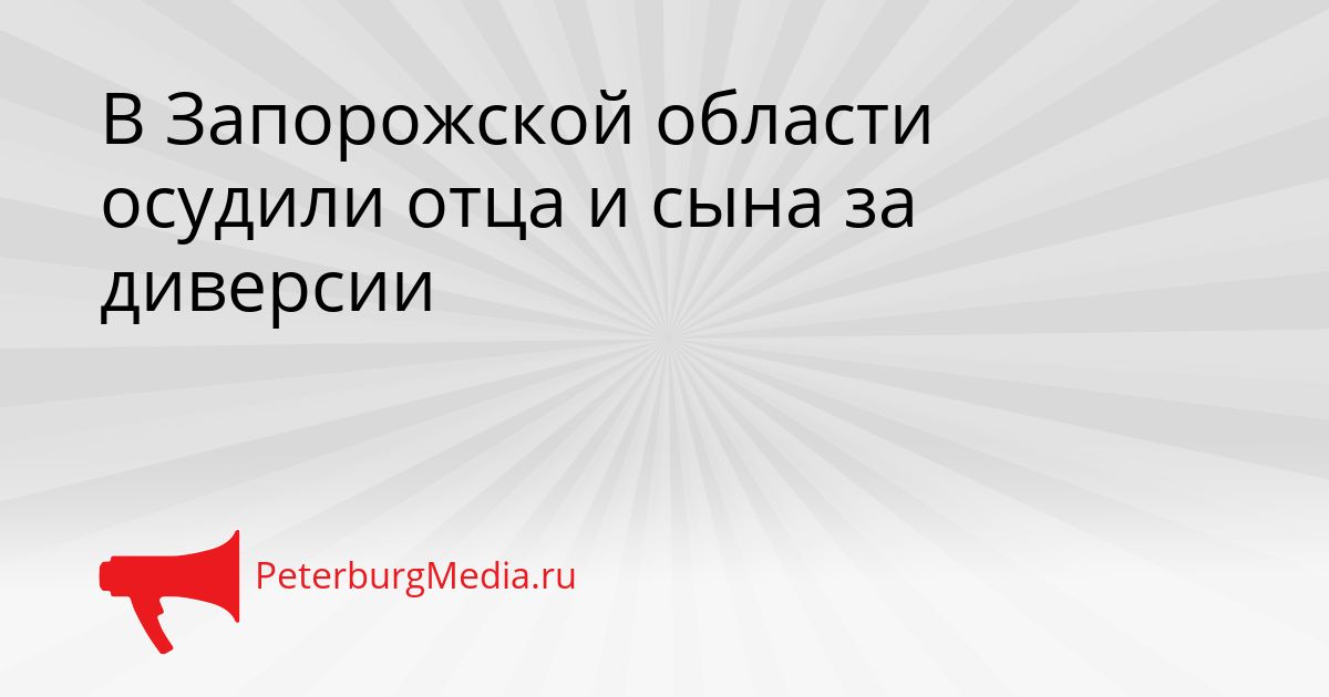 В Запорожской области осудили отца и сына за диверсии Сгенерировано