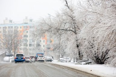 Тематическое фото Илья Аверьянов, ИА PrimaMedia