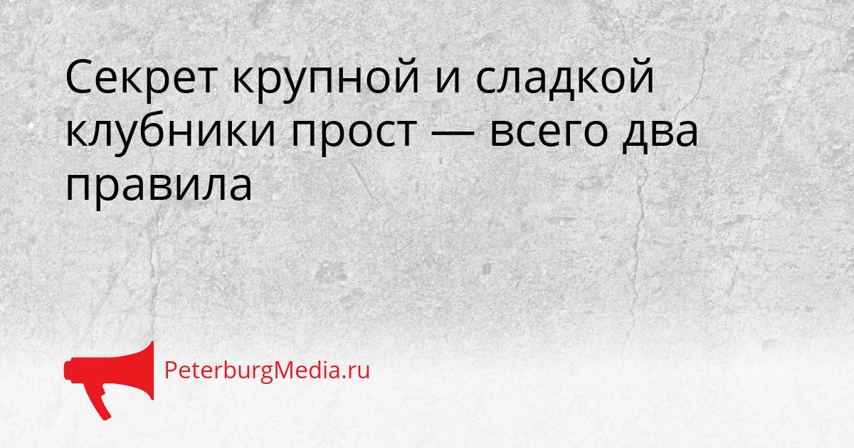 Секрет крупной и сладкой клубники прост — всего два правила Сгенерировано