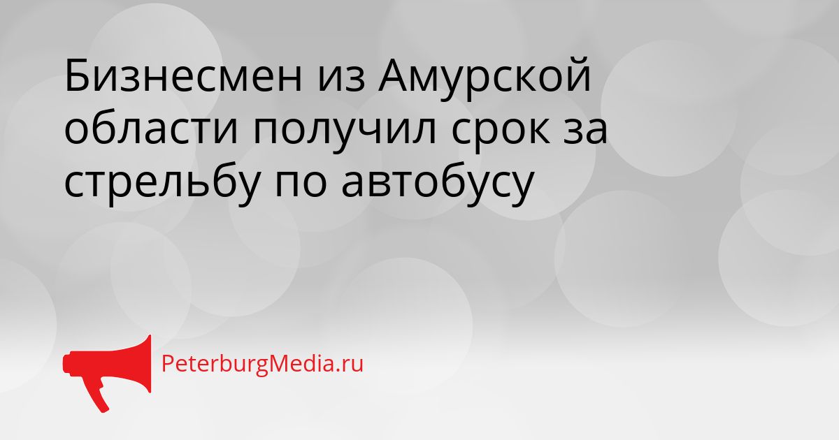 Бизнесмен из Амурской области получил срок за стрельбу по автобусу Сгенерировано