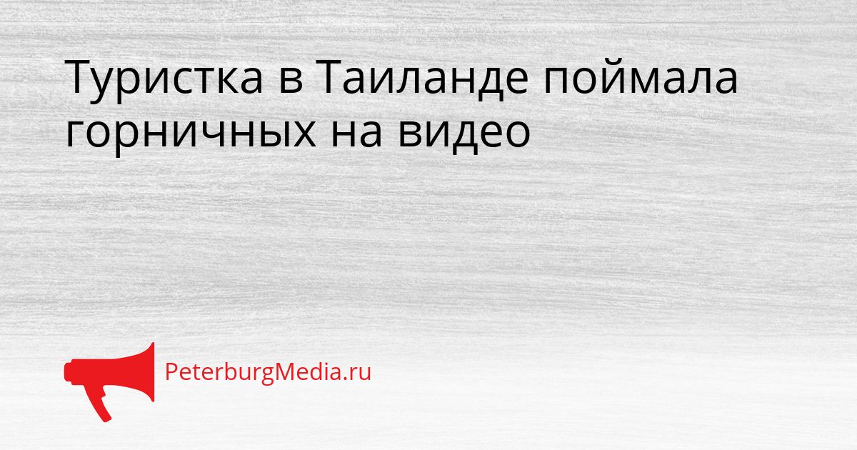 Туристка в Таиланде поймала горничных на видео Сгенерировано