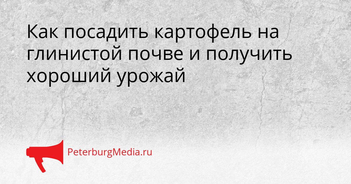 Как посадить картофель на глинистой почве и получить хороший урожай Сгенерировано