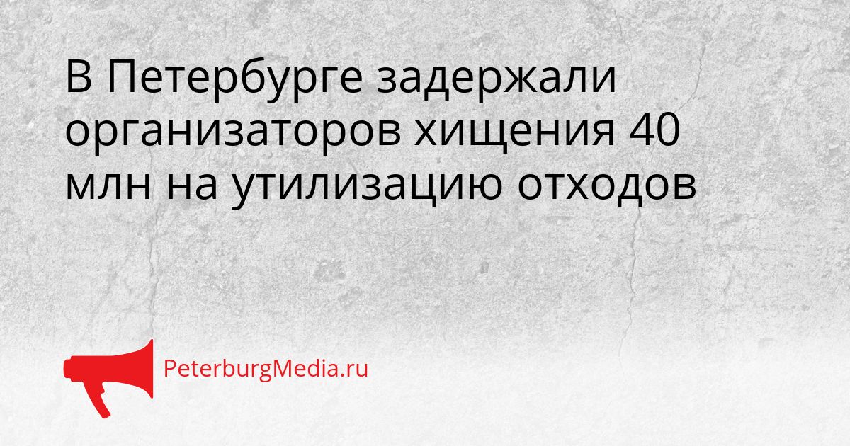 В Петербурге задержали организаторов хищения 40 млн на утилизацию отходов Сгенерировано