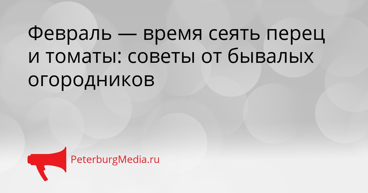 Февраль — время сеять перец и томаты: советы от бывалых огородников Сгенерировано