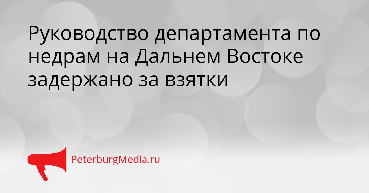 Руководство департамента по недрам на Дальнем Востоке задержано за взятки Сгенерировано