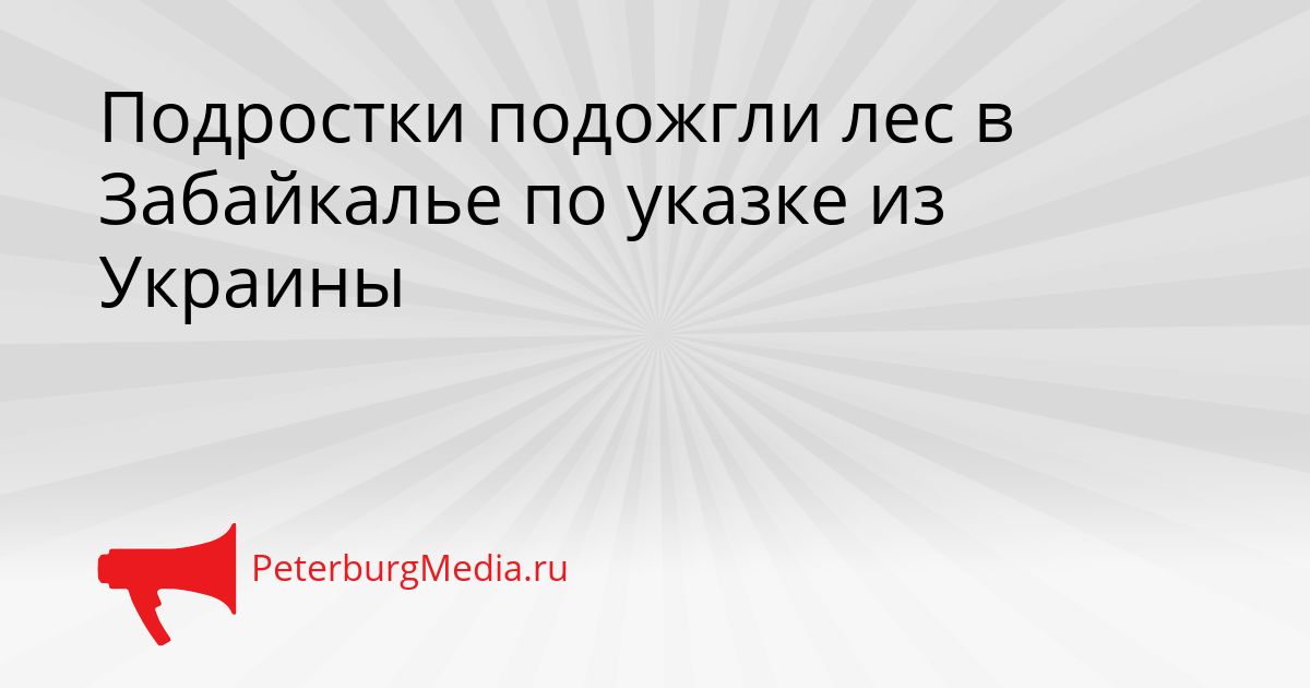 Подростки подожгли лес в Забайкалье по указке из Украины Сгенерировано