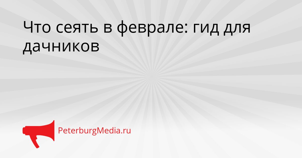 Что сеять в феврале: гид для дачников Сгенерировано