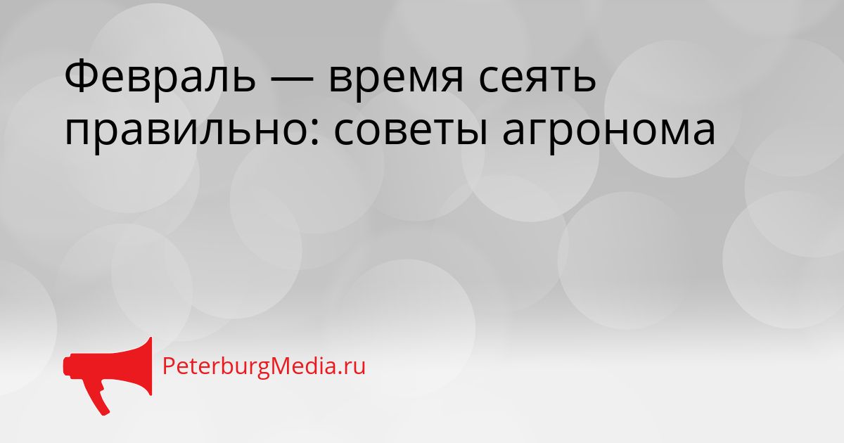 Февраль — время сеять правильно: советы агронома Сгенерировано