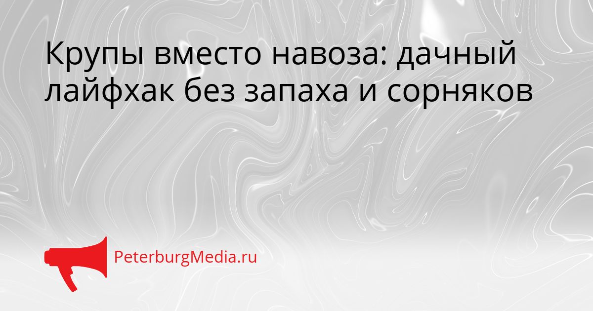 Крупы вместо навоза: дачный лайфхак без запаха и сорняков Сгенерировано