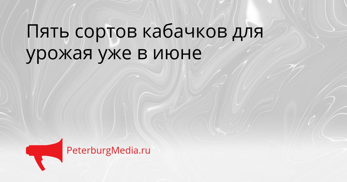 Пять сортов кабачков для урожая уже в июне Сгенерировано