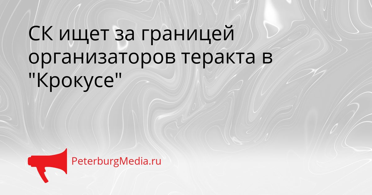 СК ищет за границей организаторов теракта в "Крокусе"