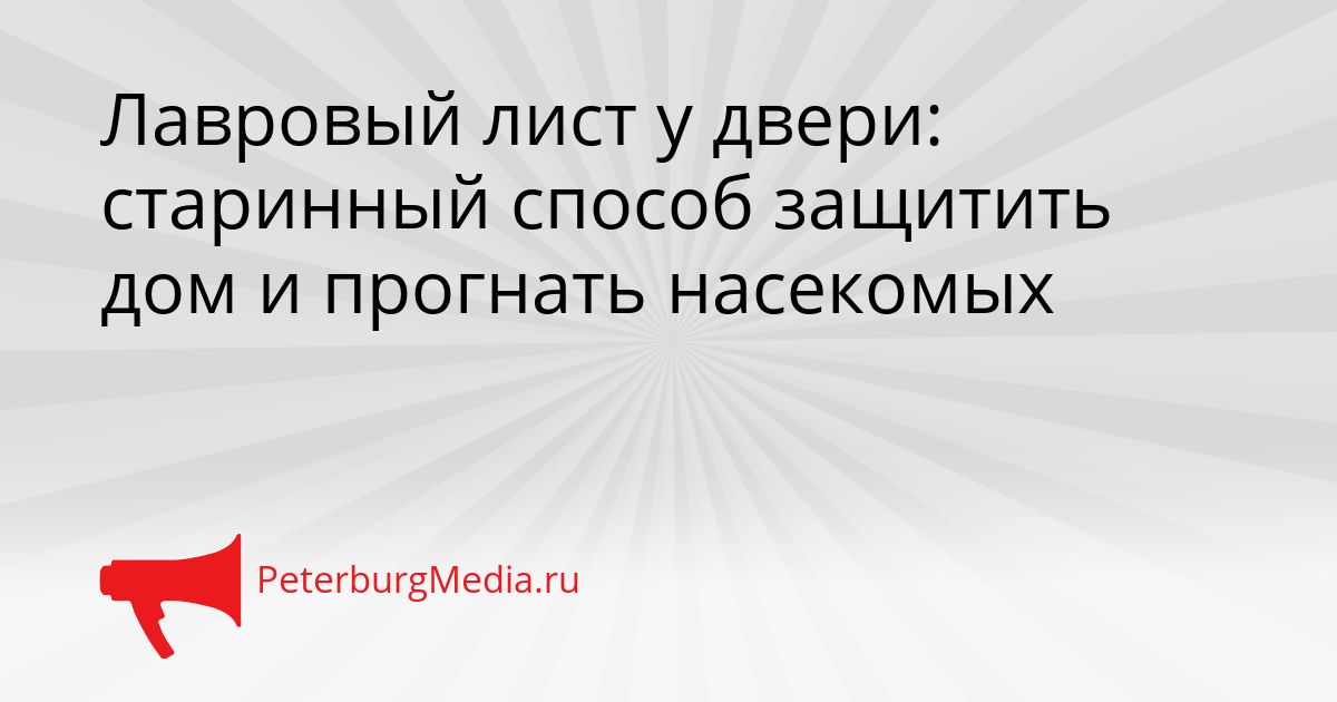Лавровый лист у двери: старинный способ защитить дом и прогнать насекомых