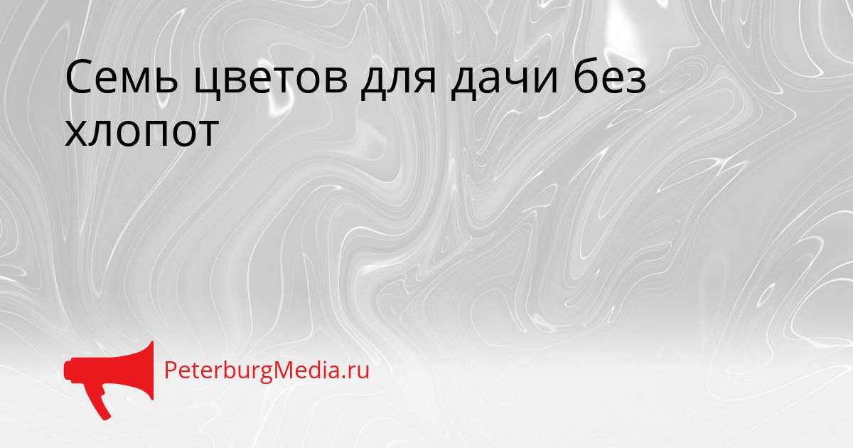 Семь цветов для дачи без хлопот