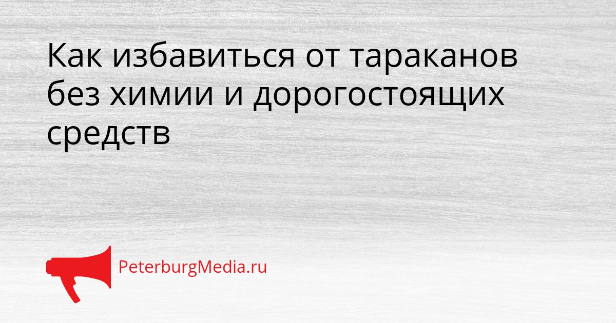 Как избавиться от тараканов без химии и дорогостоящих средств