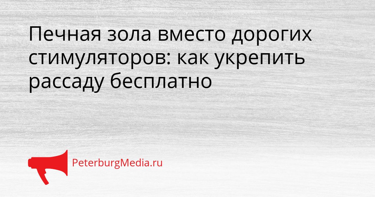Печная зола вместо дорогих стимуляторов: как укрепить рассаду бесплатно