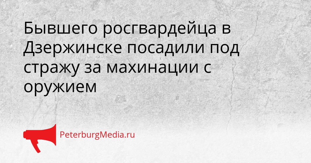 Бывшего росгвардейца в Дзержинске посадили под стражу за махинации с оружием