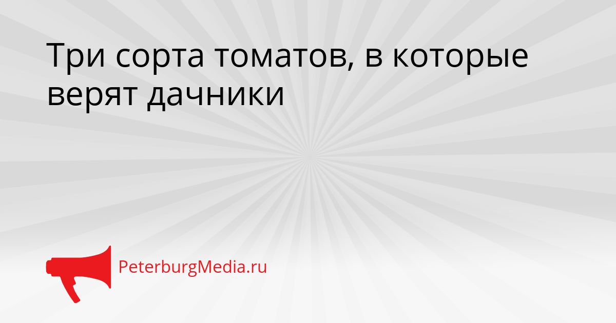 Три сорта томатов, в которые верят дачники