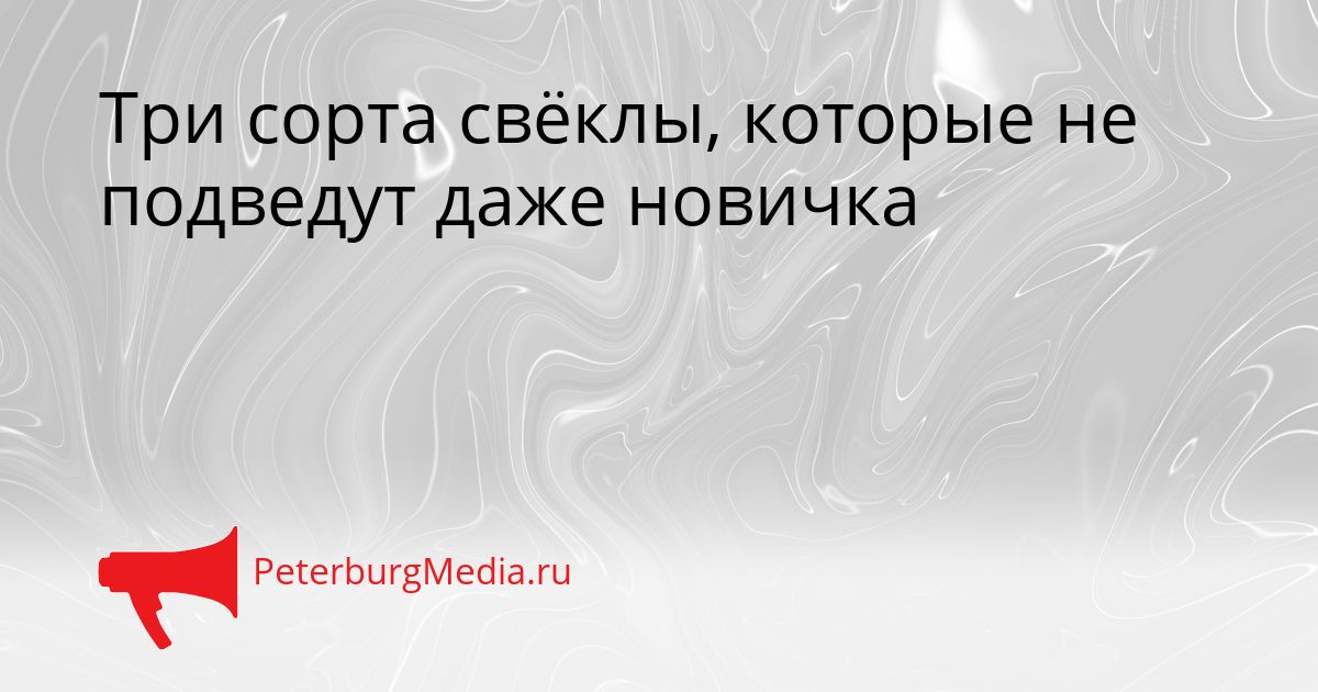 Три сорта свёклы, которые не подведут даже новичка