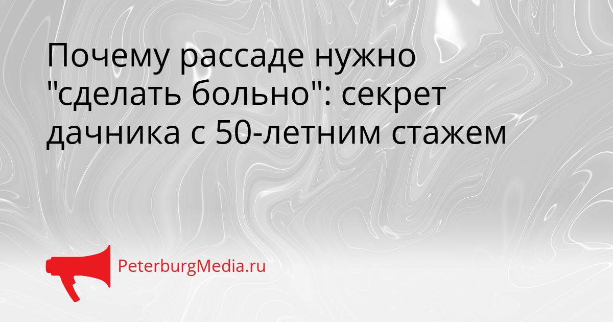 Почему рассаде нужно "сделать больно": секрет дачника с 50-летним стажем