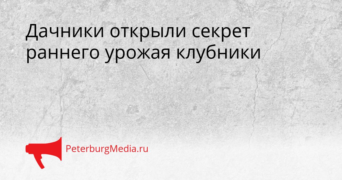 Дачники открыли секрет раннего урожая клубники