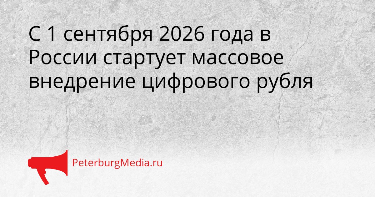 С 1 сентября 2026 года в России стартует массовое внедрение цифрового рубля