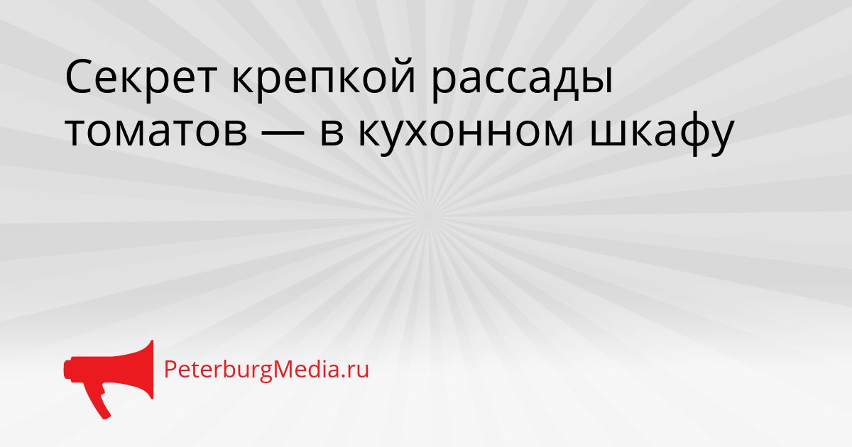 Секрет крепкой рассады томатов — в кухонном шкафу