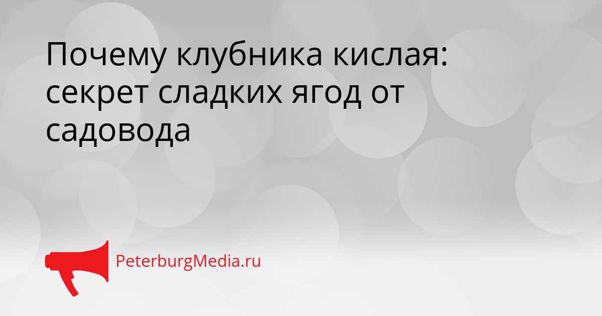 Почему клубника кислая: секрет сладких ягод от садовода