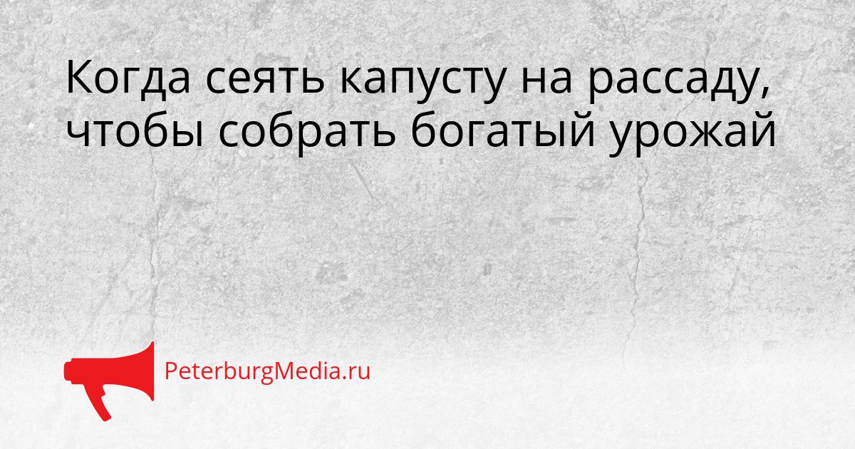 Когда сеять капусту на рассаду, чтобы собрать богатый урожай