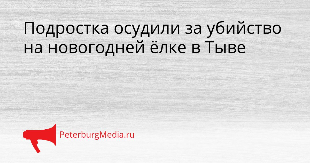 Подростка осудили за убийство на новогодней ёлке в Тыве