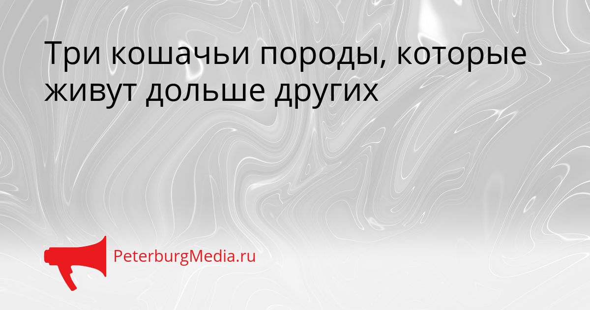 Три кошачьи породы, которые живут дольше других