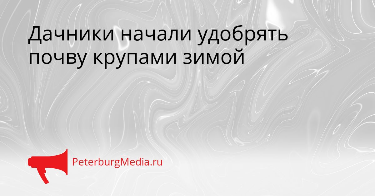 Дачники начали удобрять почву крупами зимой
