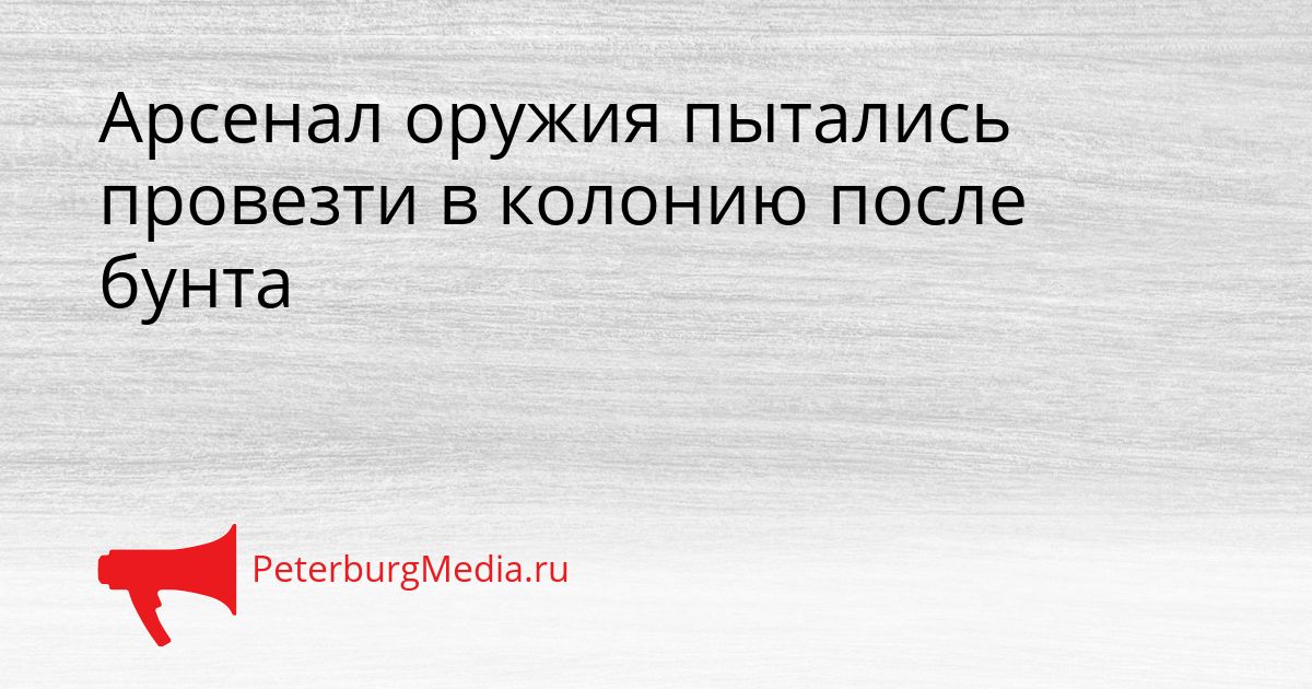 Арсенал оружия пытались провезти в колонию после бунта