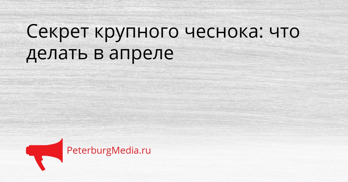 Секрет крупного чеснока: что делать в апреле