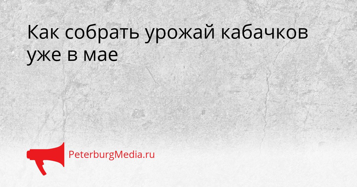 Как собрать урожай кабачков уже в мае