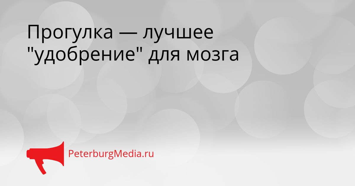 Прогулка — лучшее "удобрение" для мозга