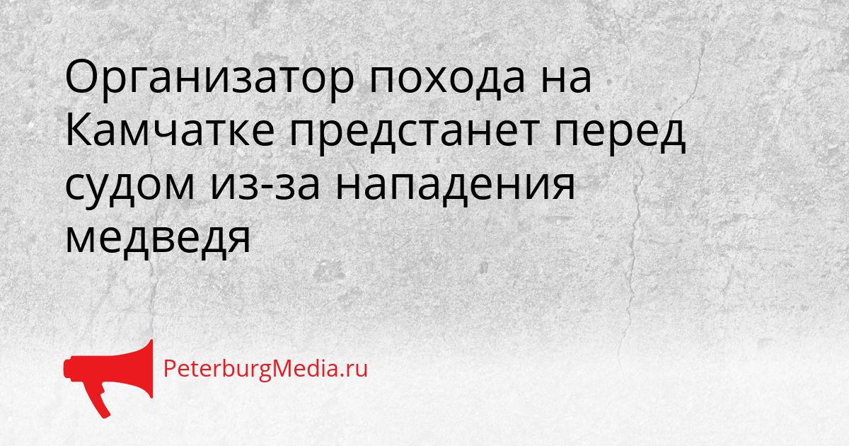 Организатор похода на Камчатке предстанет перед судом из-за нападения медведя