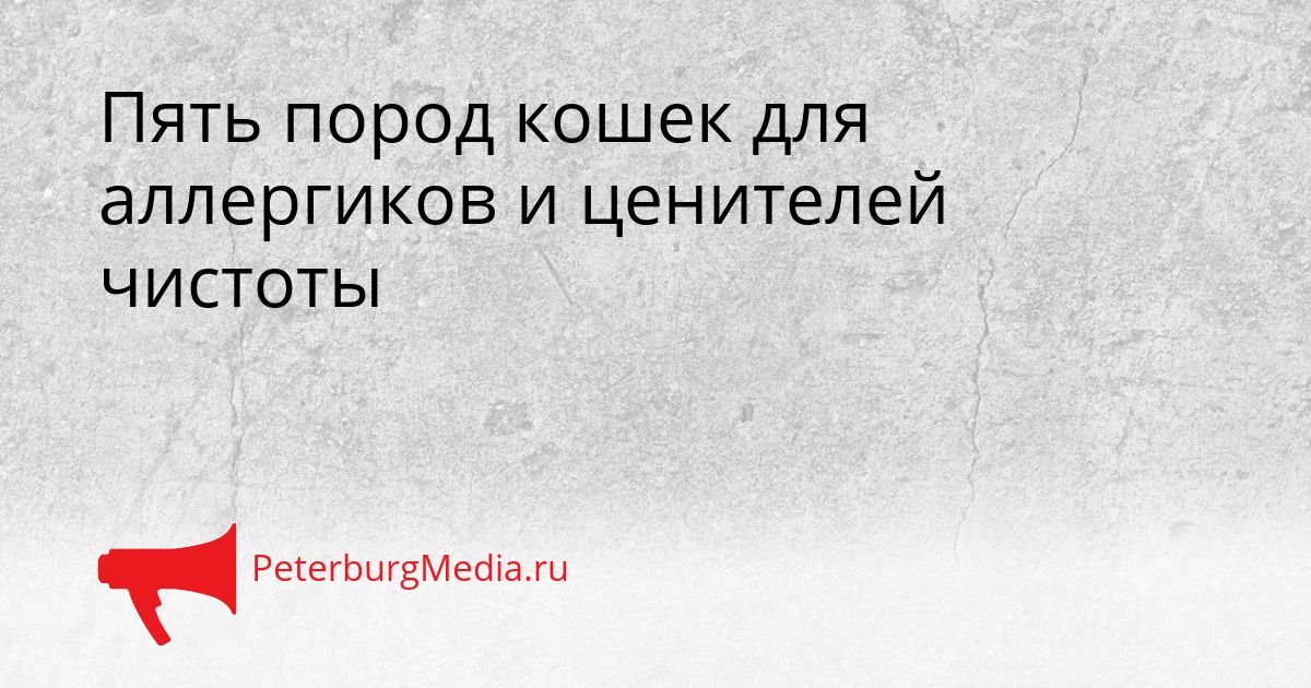 Пять пород кошек для аллергиков и ценителей чистоты
