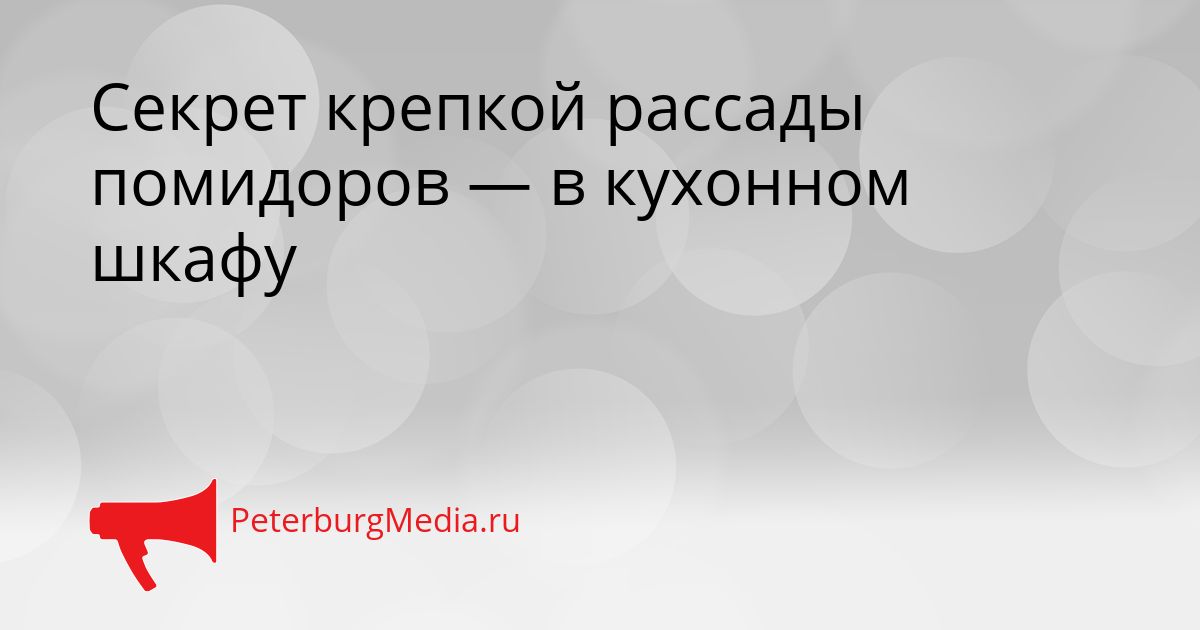 Секрет крепкой рассады помидоров — в кухонном шкафу