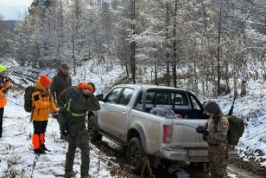 Поиски Усольцевых в Красноярском крае Лиза Алерт
