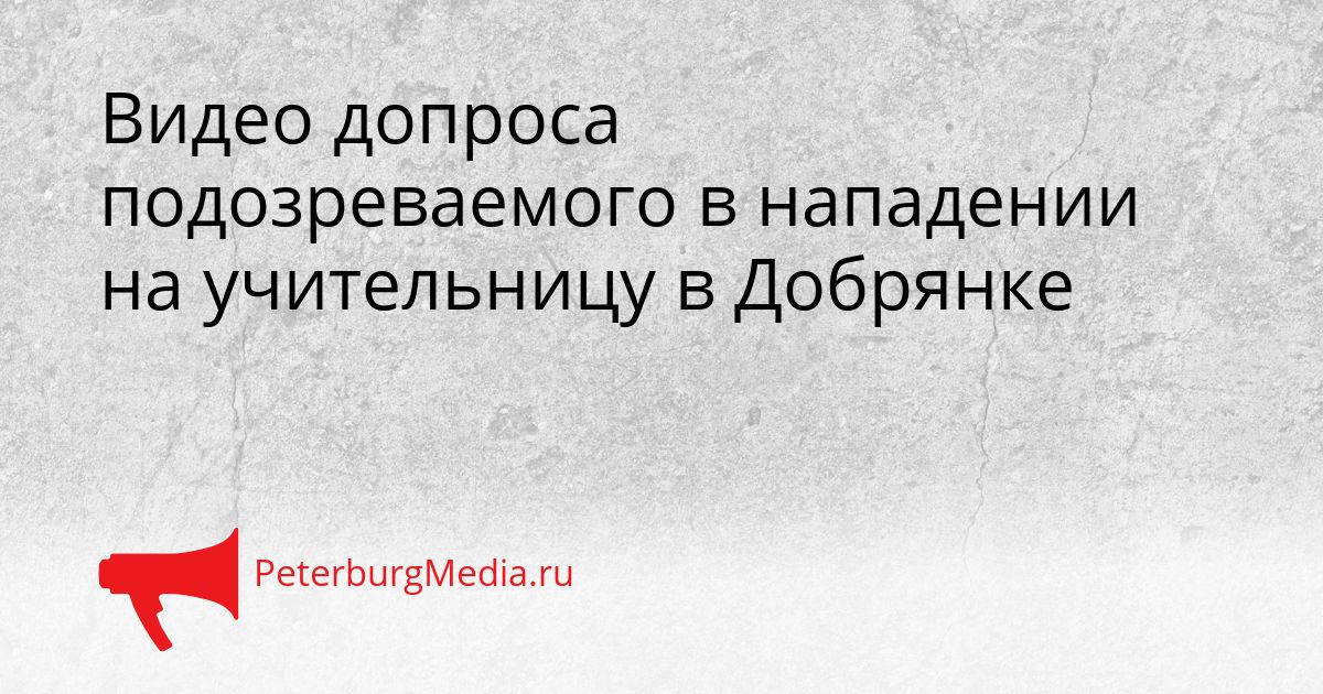 Видео допроса подозреваемого в нападении на учительницу в Добрянке