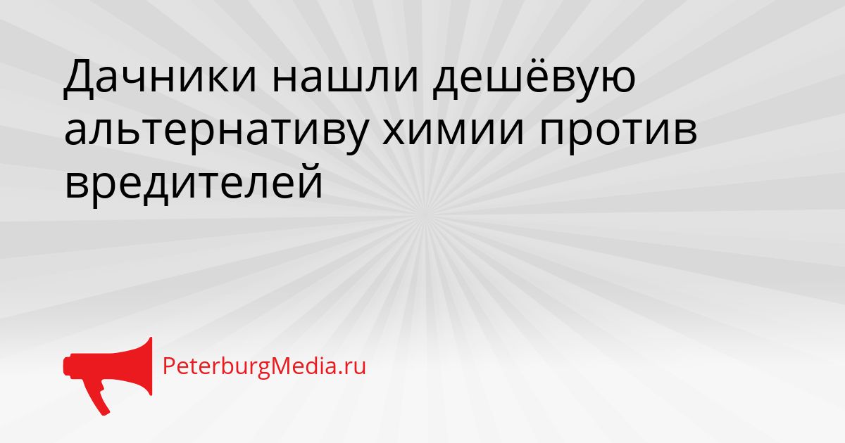 Дачники нашли дешёвую альтернативу химии против вредителей
