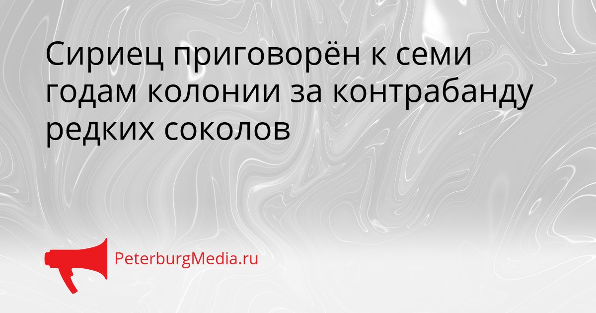 Сириец приговорён к семи годам колонии за контрабанду редких соколов