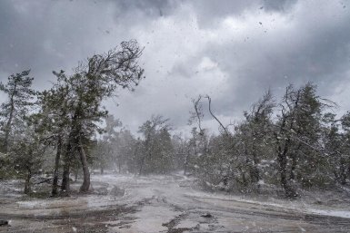 Экстремальная погода создано при помощи ИИ