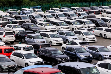 Китайские гибриды захватывают рынок РФ Евгений  Кулешов, ИА PrimaMedia