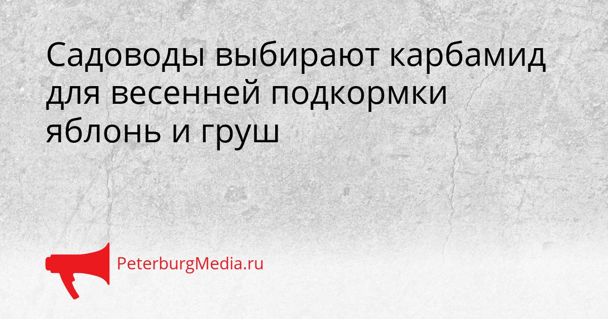 Садоводы выбирают карбамид для весенней подкормки яблонь и груш