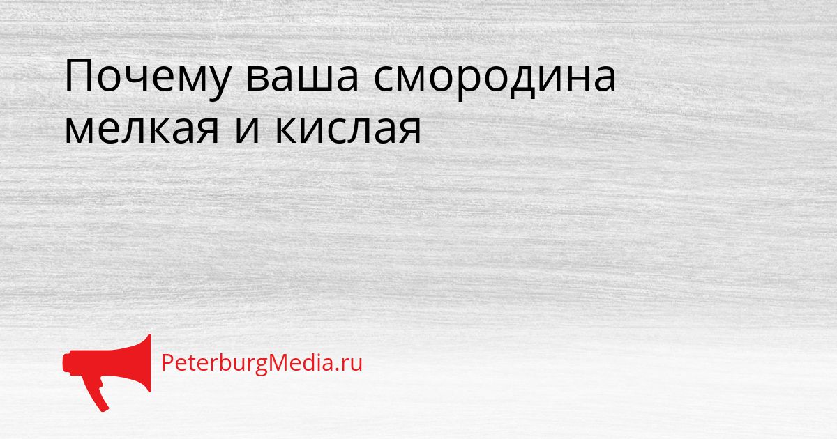 Почему ваша смородина мелкая и кислая