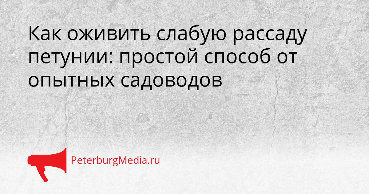 Как оживить слабую рассаду петунии: простой способ от опытных садоводов